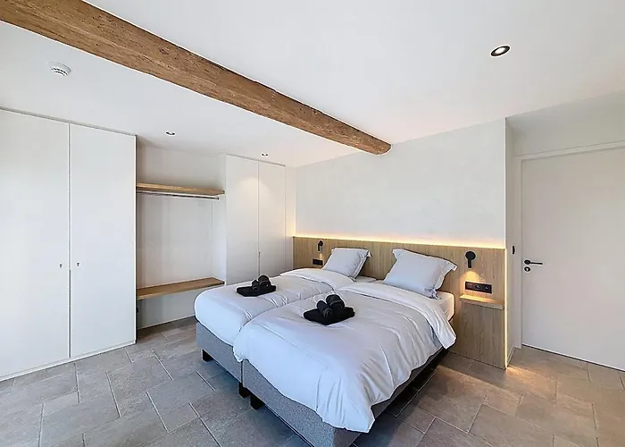 Vill'anglaise - Spacious For 14 Hondschoote